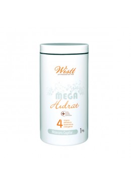 MASQUE CAPILLAIRE HIDRAT POWER – 1KG  WISTT    Beautecombeleza.com