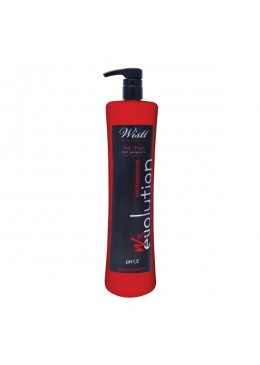 ANTI-FRIZZ W3 EVOLUTION – STEP 2 – 1L  WISTT   Beautecombeleza.com