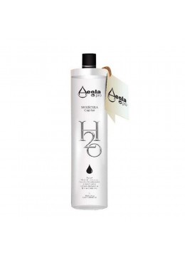 Brazilian H2o No Smoke Treatment Gel Hair Progressive Brush 1L - Aegla Pro Beautecombeleza.com