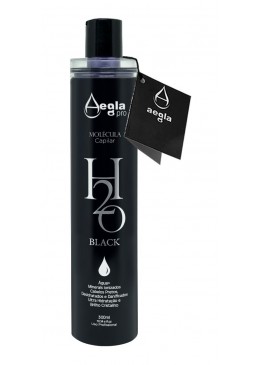 H2o Black No Smoke Tinting Treatment H2o Pinceau Progressif Cheveux - 300ml - Aegla Pro Beautecombeleza.com