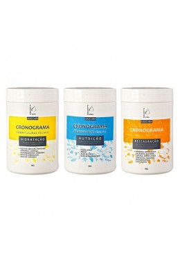 Cronograma Hidratação Nutrição Restauração Kit 3 -Flesh Liss Beautecombeleza.com