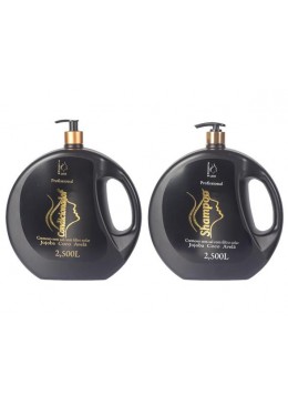 Shampooing et Revitalisant Profissional Kit 2 - Flesh Liss Beautecombeleza.com