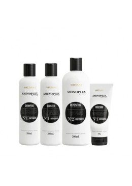 Aminoplex Revive Kit 4 Itens - Aneethun Beautecombeleza.com