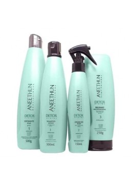 Detox System Hair Healthy Antioxidant Refresh Treatment Kit 4 Itens - Aneethun Beautecombeleza.com