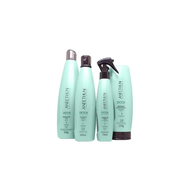 Detox System Hair Healthy Antioxidant Refresh Treatment Kit 4 Itens - Aneethun Beautecombeleza.com