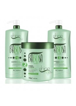 Babosa Aloès Détox Capillaire  Kit 3x1 - Shine Hair