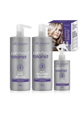 Perfect Blond Bleached Gray Hair Tinting Protection Kit 3 Prod. - All Nature Beautecombeleza.com