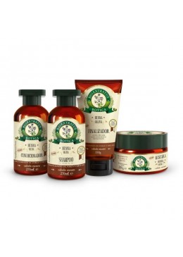 Botica Henna Hair Color Shine Maintenance Treatment Kit 4 Itens - Bio Extratus Beautecombeleza.com