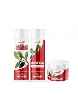 Jaborandi Hair Growth Fortifying Home Care Anti Loss Control Kit 3 Itens - Paiolla Beautecombeleza.com