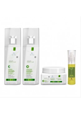 Argan Perfect Care Completo Kit 4 - Honma Tokyo