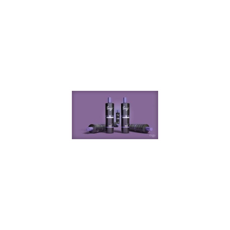 Kit Desamarelador Para Cabelo Loiro Silver & Blond - Lorriz Kit Desamarelador Para Cabelo Loiro Silver & Blond - Lorriz