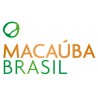 Macauba Brasil